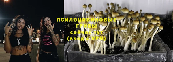 соль ск Алексин