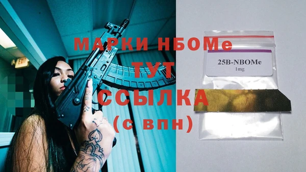 соль ск Алексин