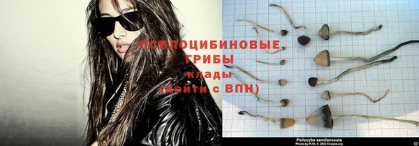 СК Няндома
